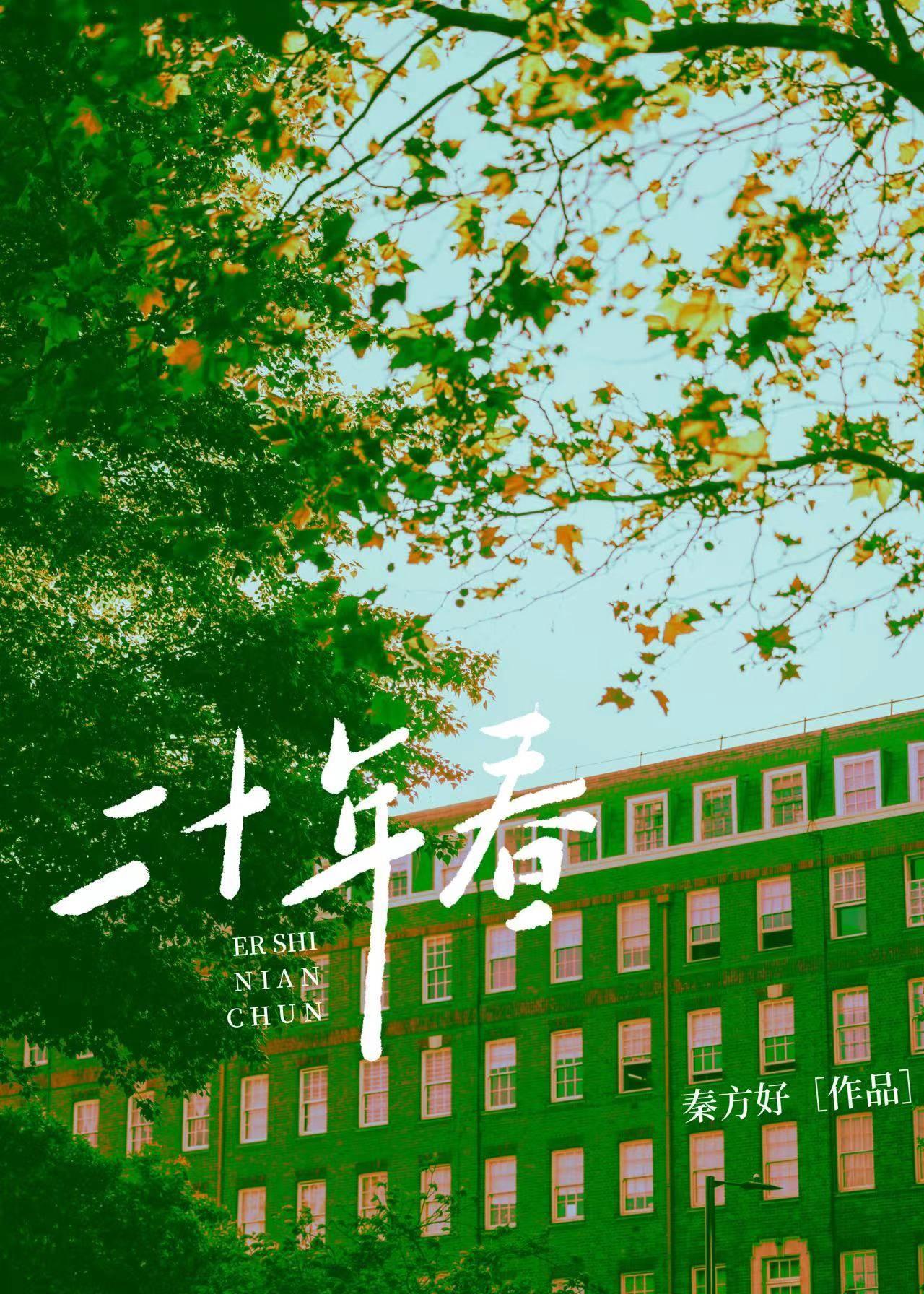 二十年春讲了什么故事