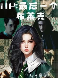 霍格沃兹之最后一个布莱克