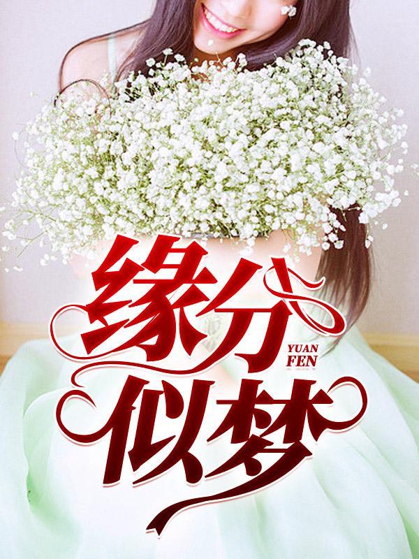 缘分似梦笔趣阁免费阅读