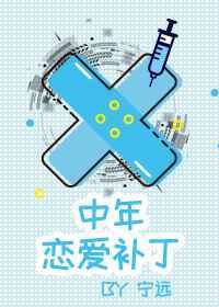 中年恋爱补丁游戏