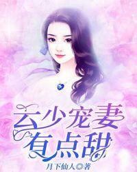 云少你老婆又飞了免费阅读