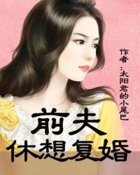 总裁前夫求复婚by免费阅读