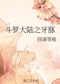 斗罗大陆之什么