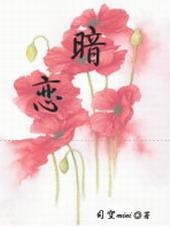 暗恋直男的日子45章