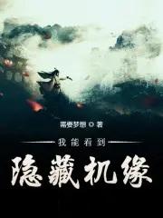 我能看到隐藏机缘完结