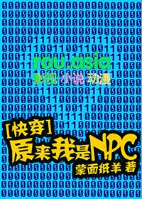 原来我是npc快穿